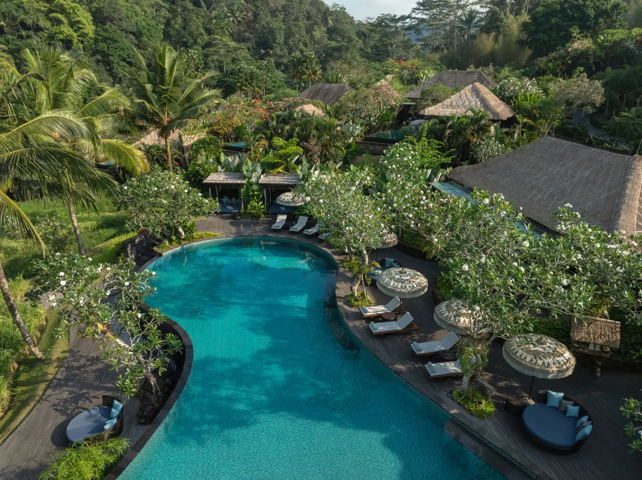 The main pool from above, its loungers and the rice terraces