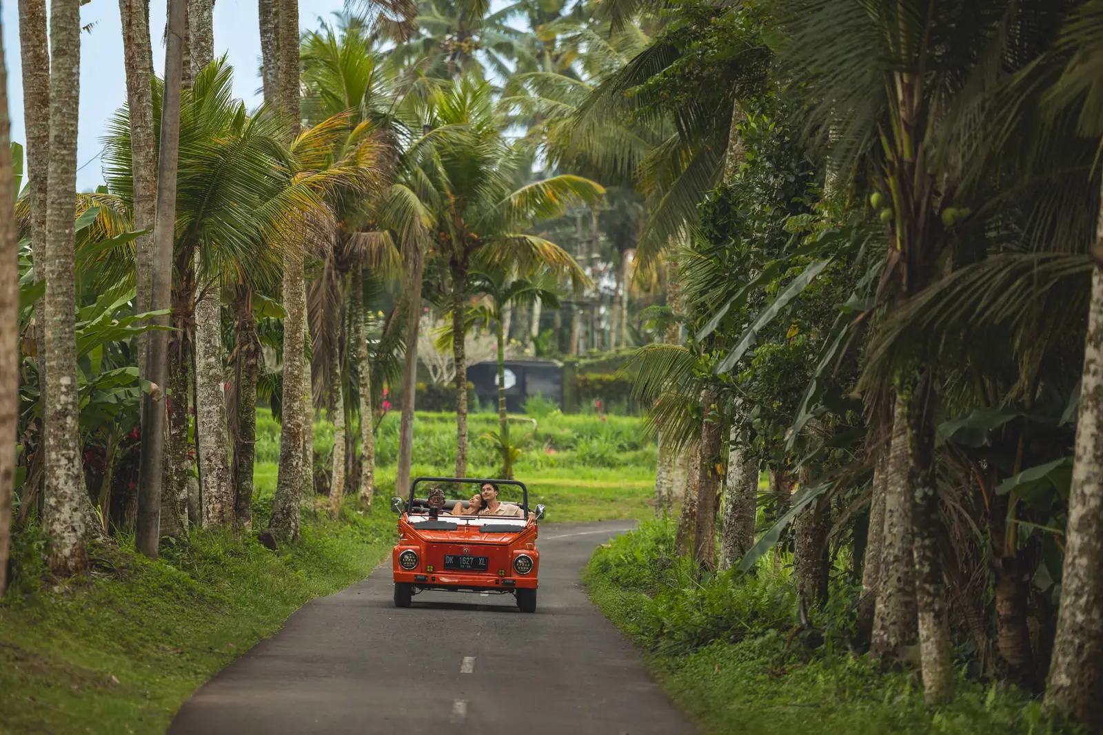 An orange vintage Volkswagen on a road between palms