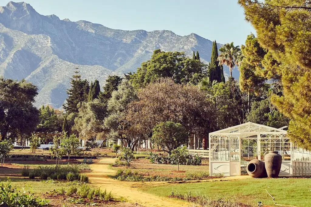 Finca Ana María’s greenhouse with mountains behind
