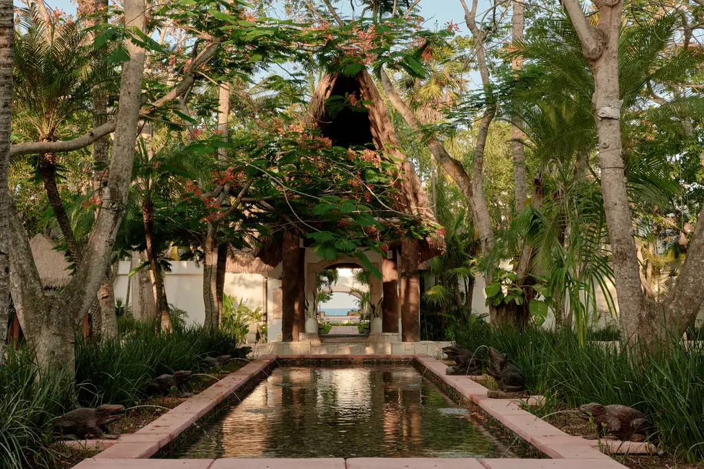 La fontana delle rane all’ingresso, all’ombra degli alberi fra felci e foglie larghe