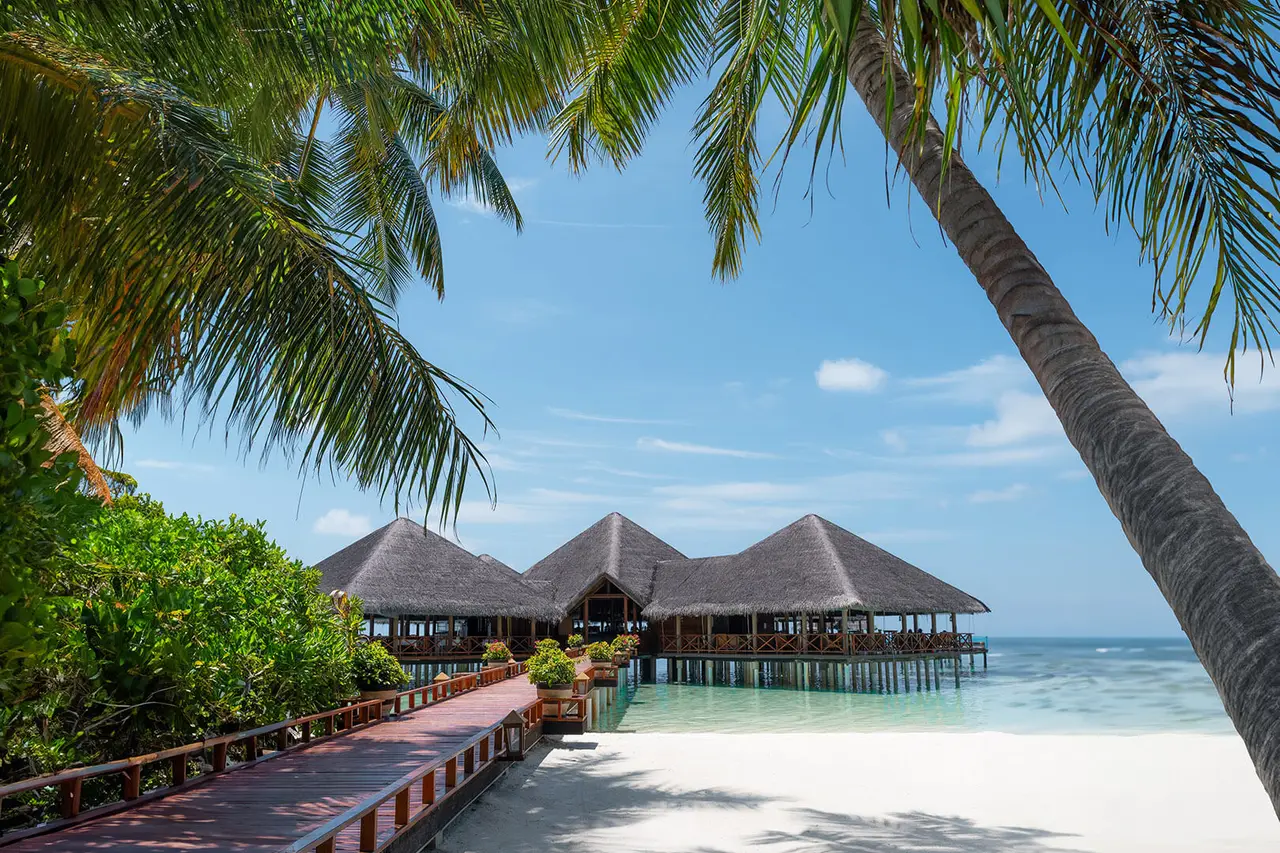 The pyramid-shaped pavilion over the water, its thatched roofs seen from the beach between 2 palms and the boardwalk.