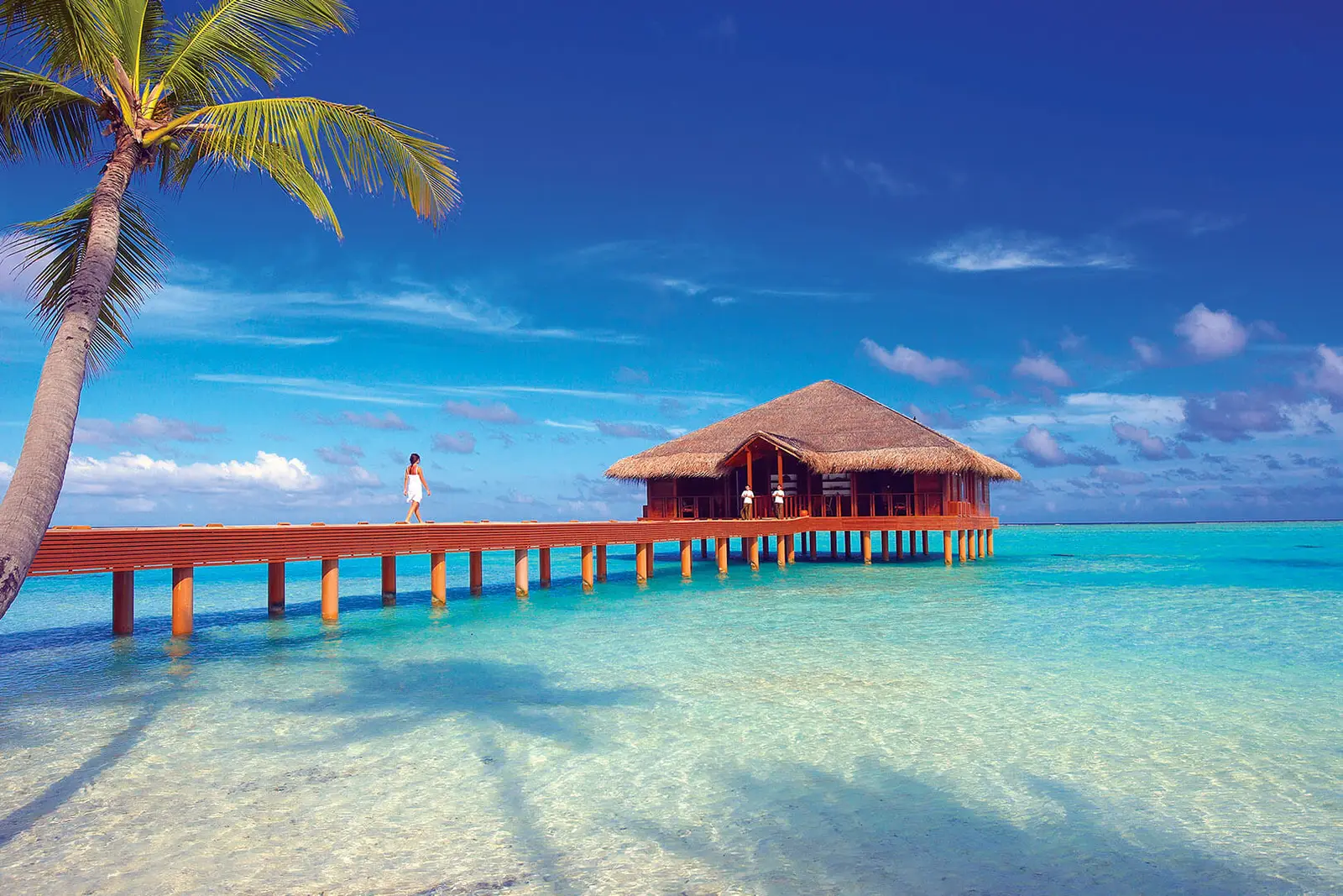 The wooden jetty out to the over-water spa, with one person walking along it, a palm and the turquoise lagoon.