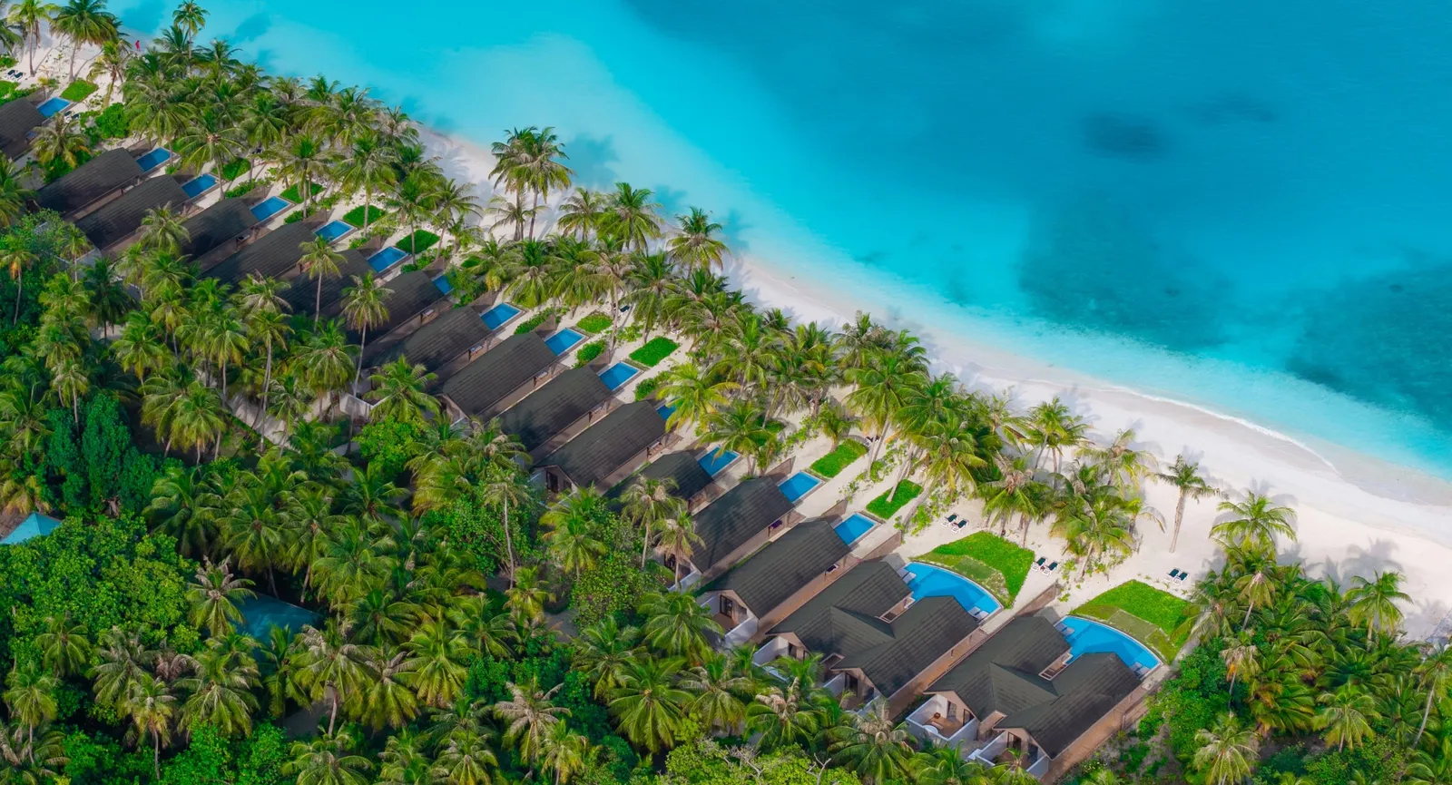 Villas and palms along the beach, viewed from above