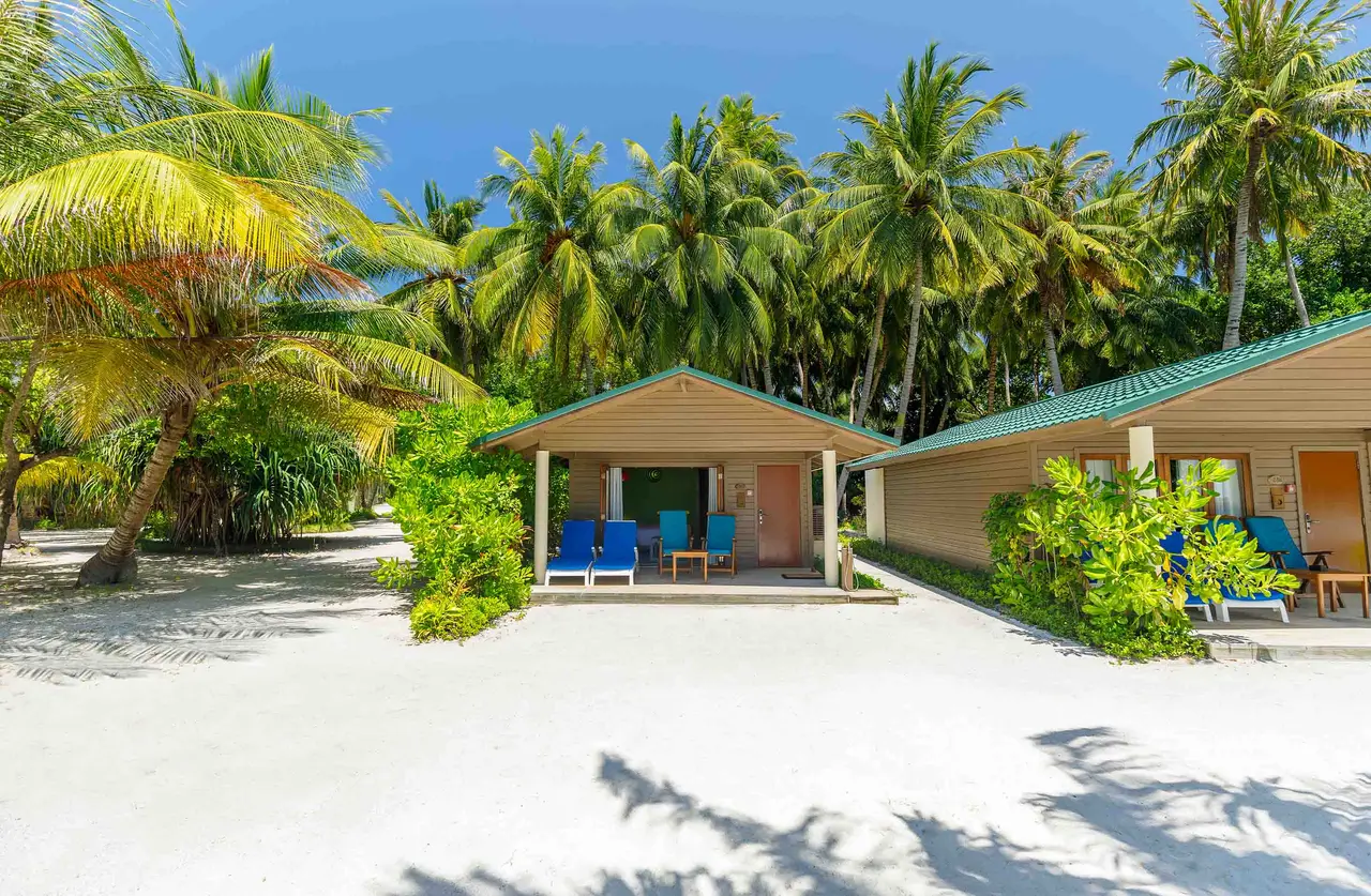 A Beach Villa and its porch among palms