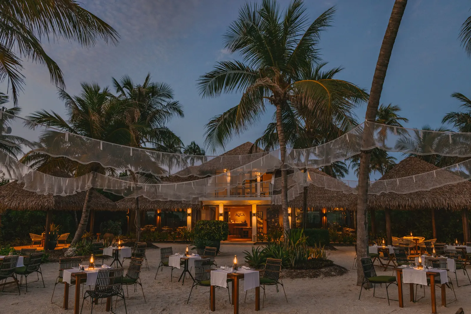 Aqua’s tables at dusk, under the palms and the lights, with the lit restaurant behind.
