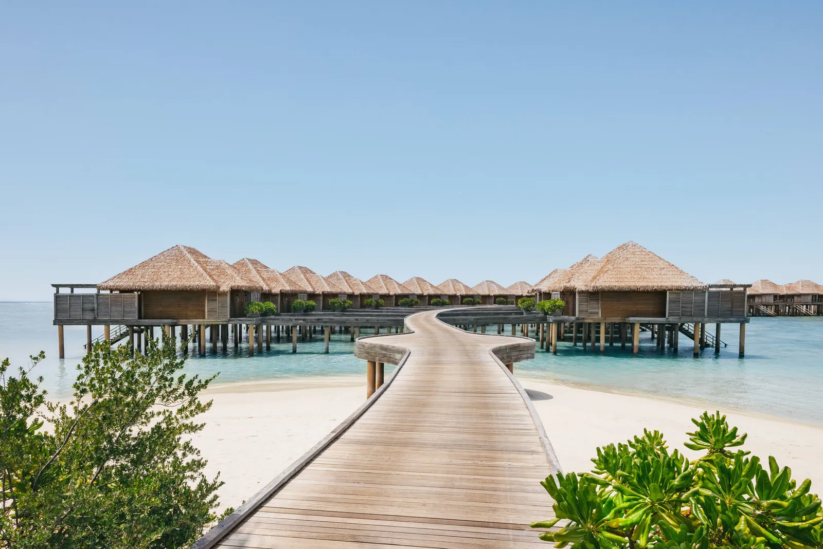 The wooden walkway leading from the beach to the water villas, between the shrubs and the clear lagoon.