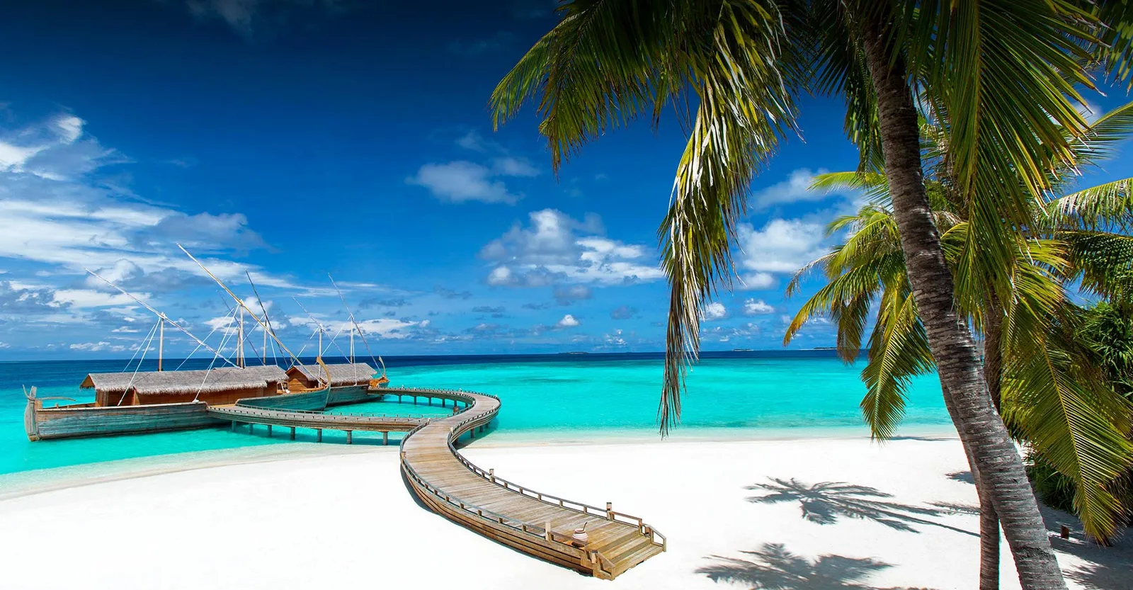 The white beach, a palm and the walkway out to Ba’theli across the turquoise lagoon