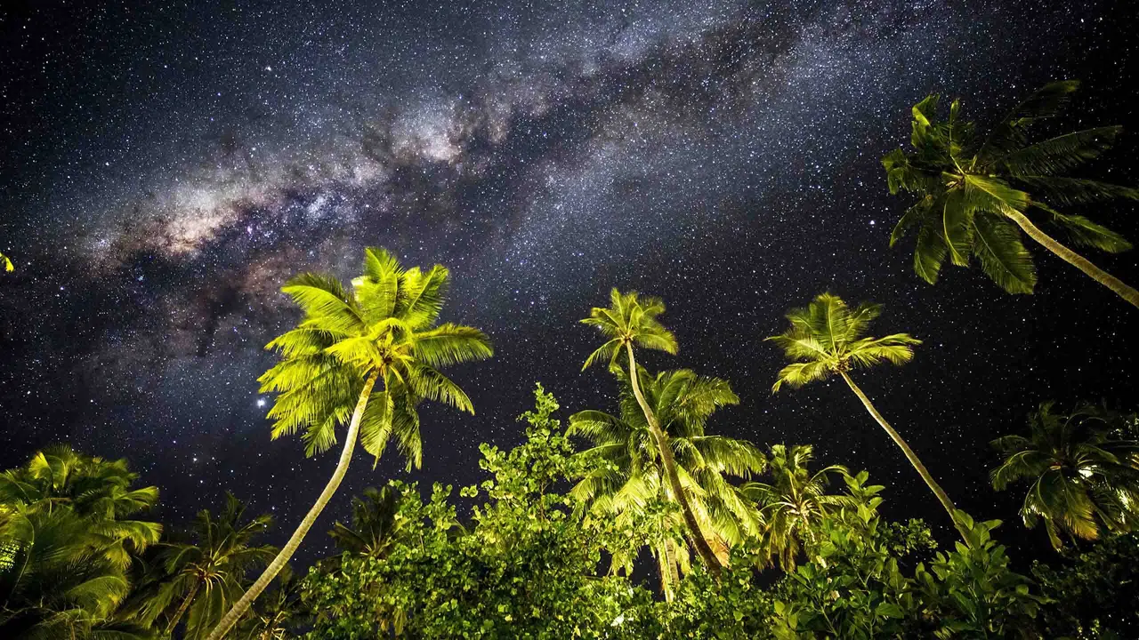 The Milky Way over the island’s palms, on a night with no lights around.