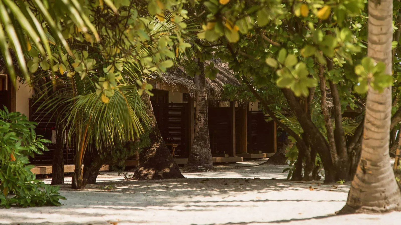 The beach bungalows among palms and trees, their timber verandas opening onto the white sand.