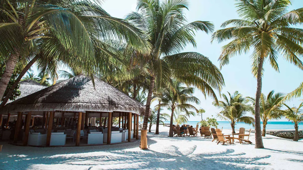 The main restaurant under a broad thatched roof, on the sand among the palms, with chairs on the beach.
