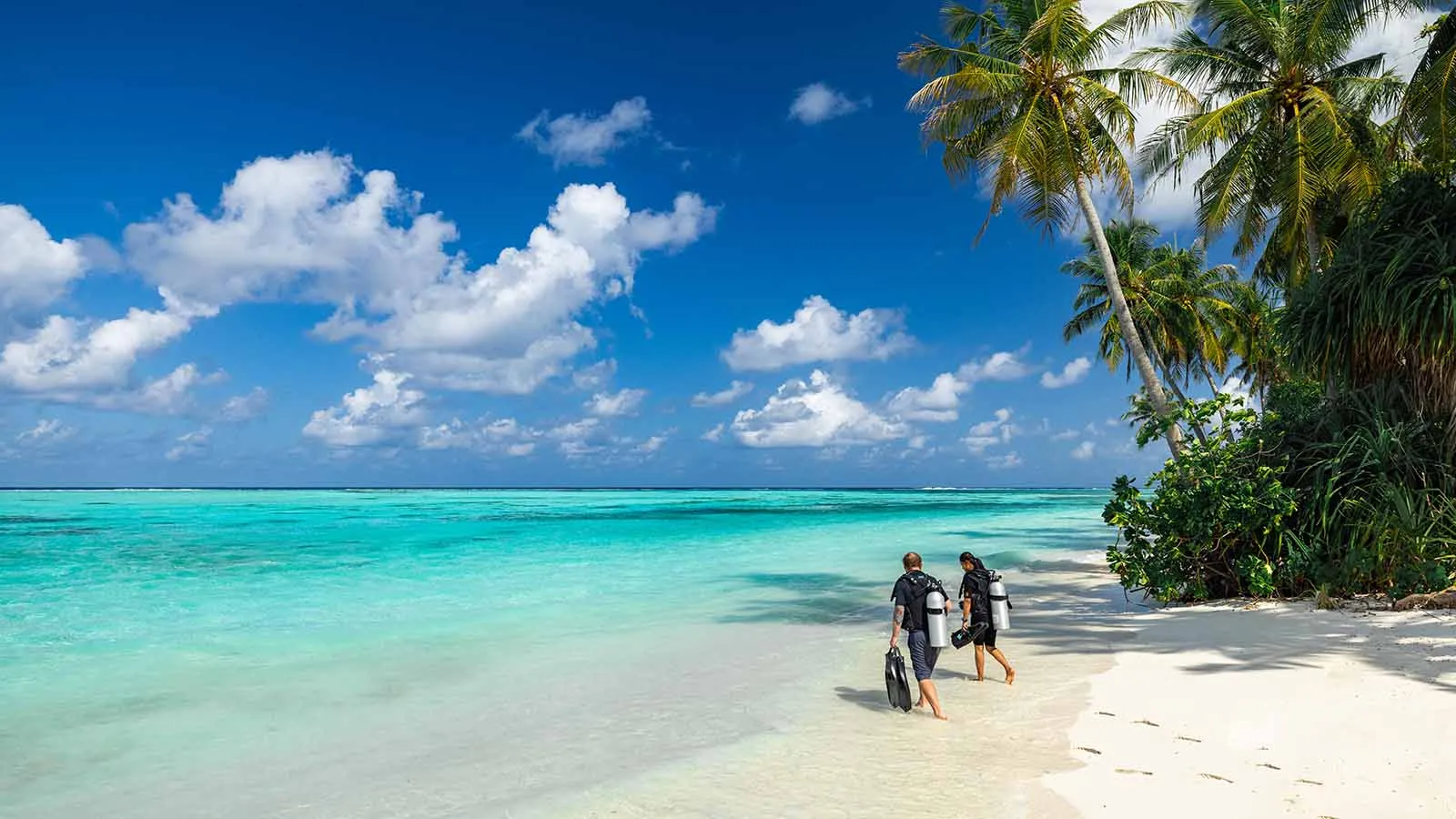 2 subacquei con le bombole camminano verso il mare sulla spiaggia, fra le palme e la laguna.