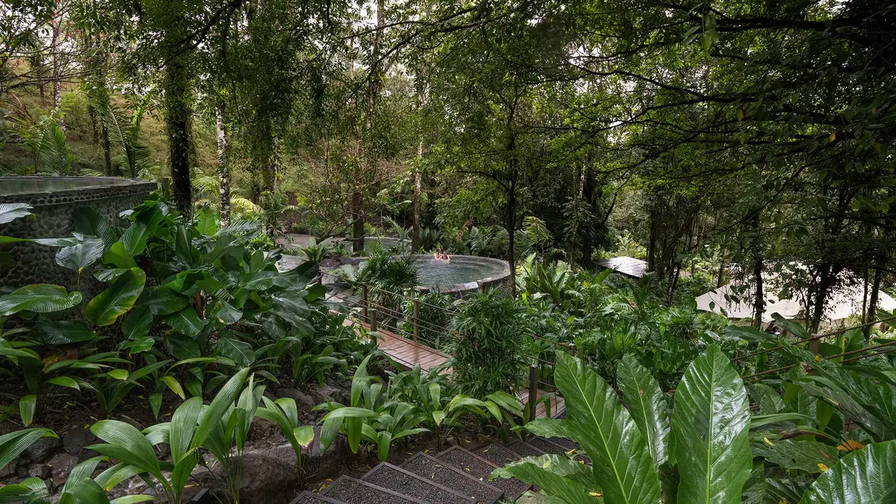 Steps and tropical plants between pools in the garden