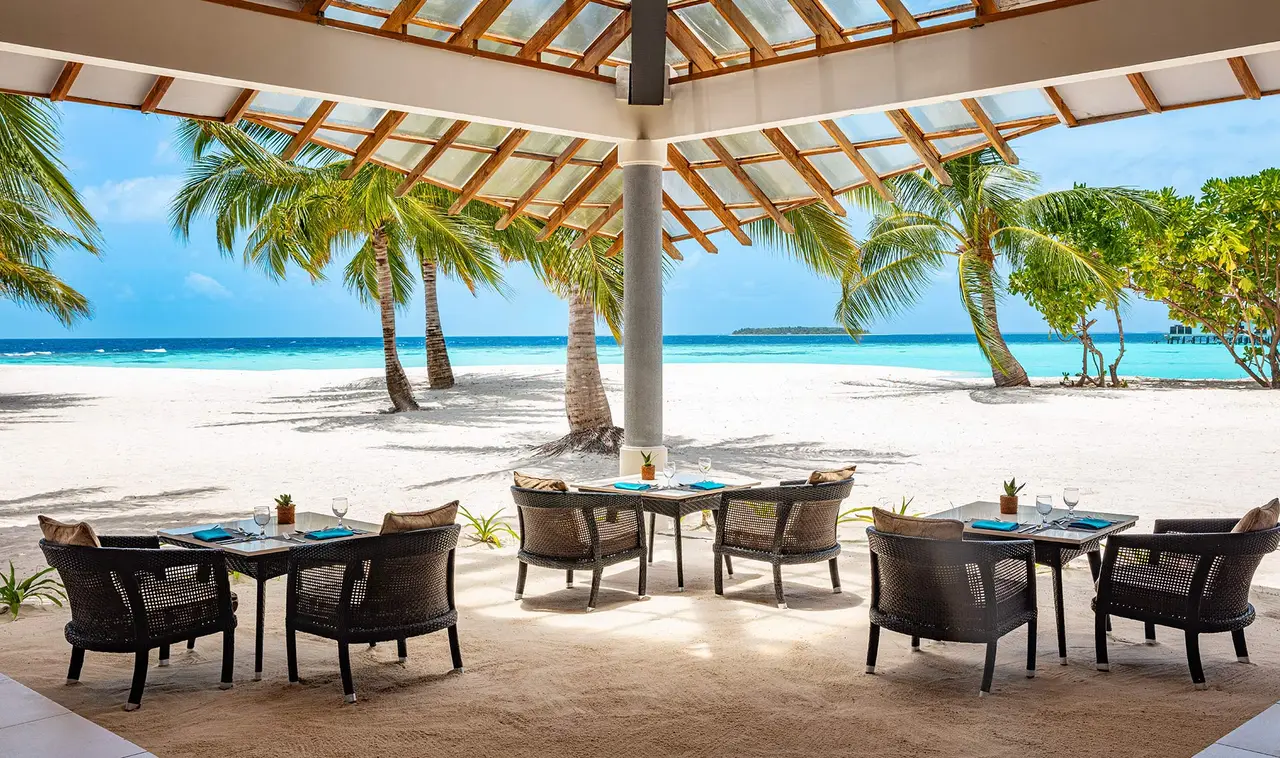 Reef’s tables under the open pavilion, on the sand, among the palms and the sea.
