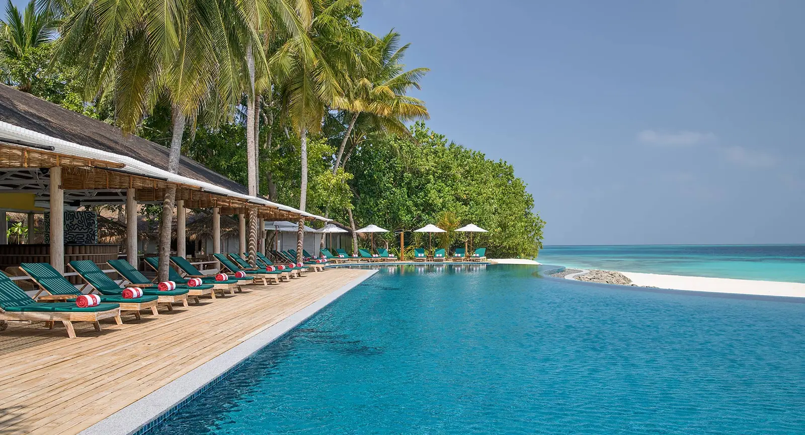 The infinity pool along the beach, with its row of green loungers under the canopy, the palms and the sea beyond the edge.