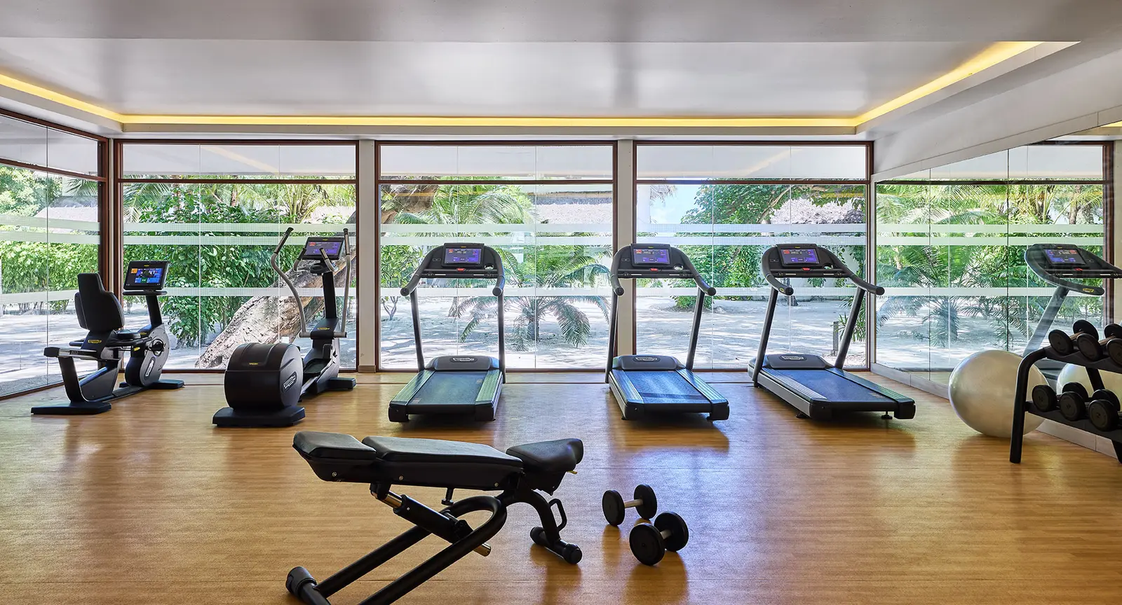 The gym with its treadmills, exercise bike, bench and dumbbells, and the windows onto the green.