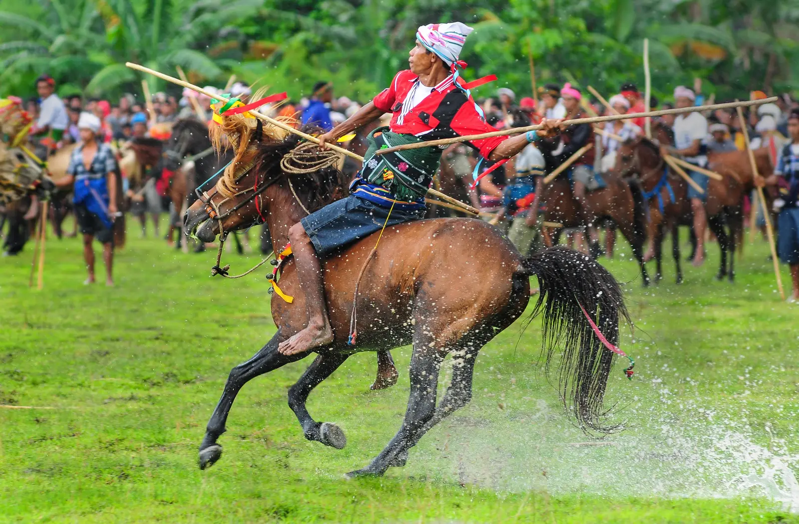 Un cavaliere della Pasola al galoppo con la lancia di legno, davanti alla folla
