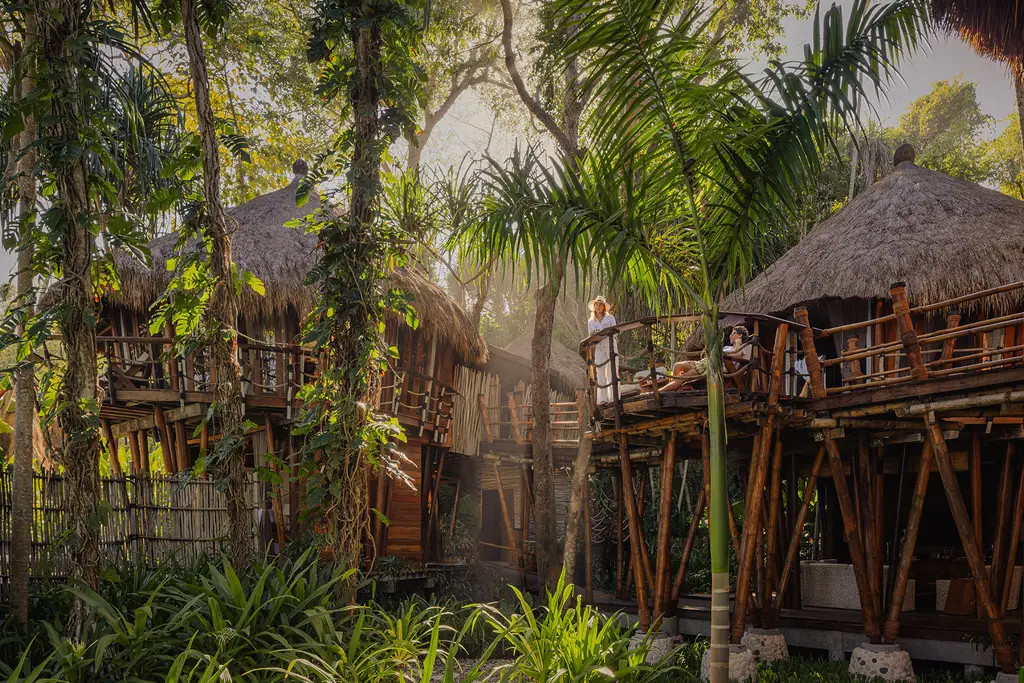 Le camere della Treehouse sui pali, fra gli alberi della foresta, unite da passerelle di legno