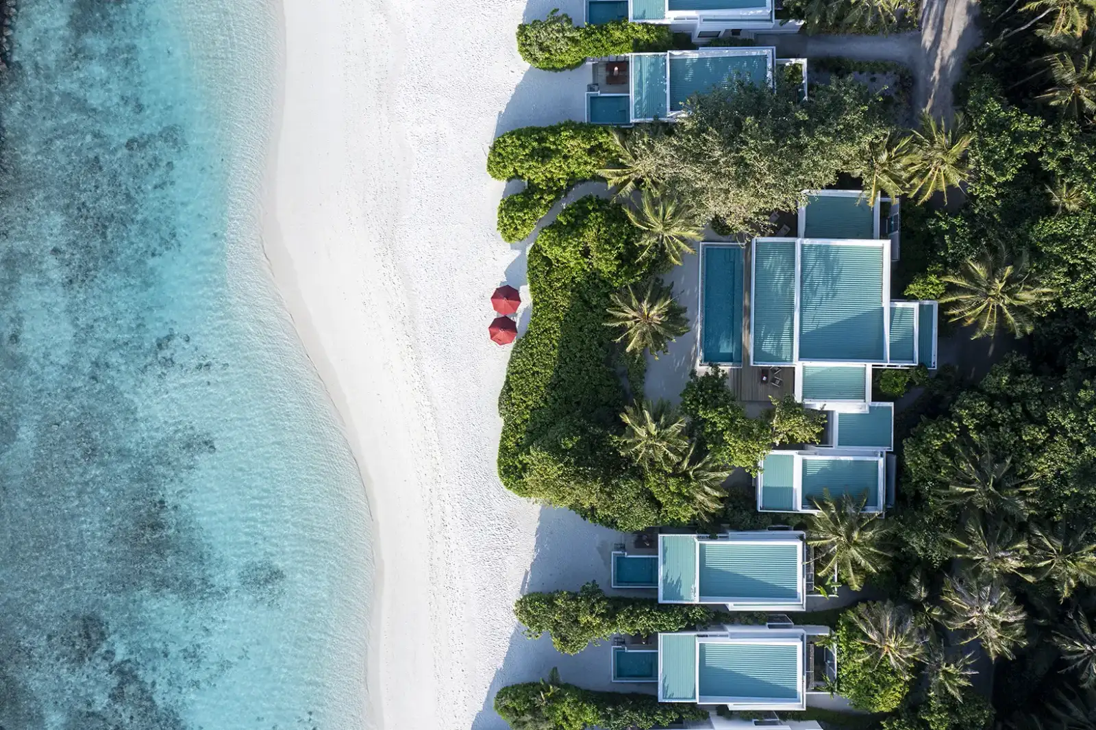 The Two Bedroom Dhigali Suite from above: white roofs among the palms, the infinity pool and the beach.