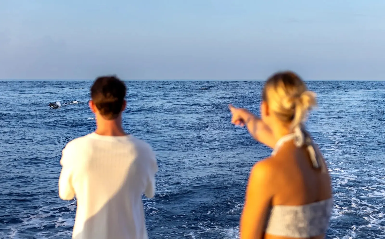 A couple on the boat point at dolphins in open water