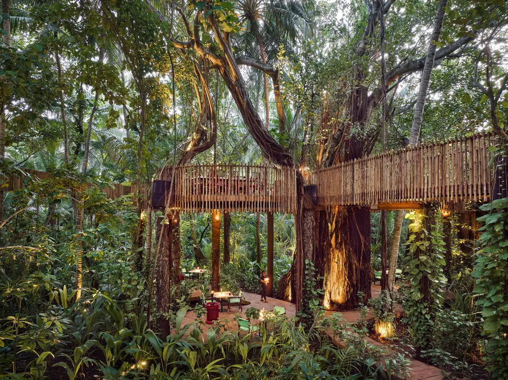 Nest at dusk: wooden walkways and tables among the branches of a great tree in the jungle
