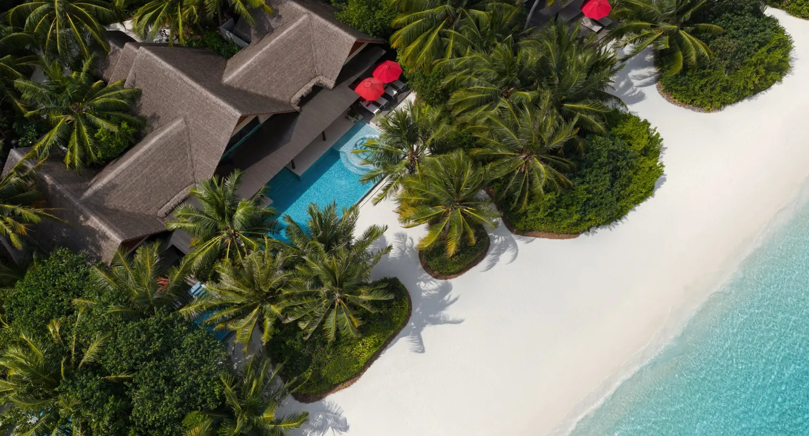 The 3-bedroom beach pavilion from above, its pool among the palms