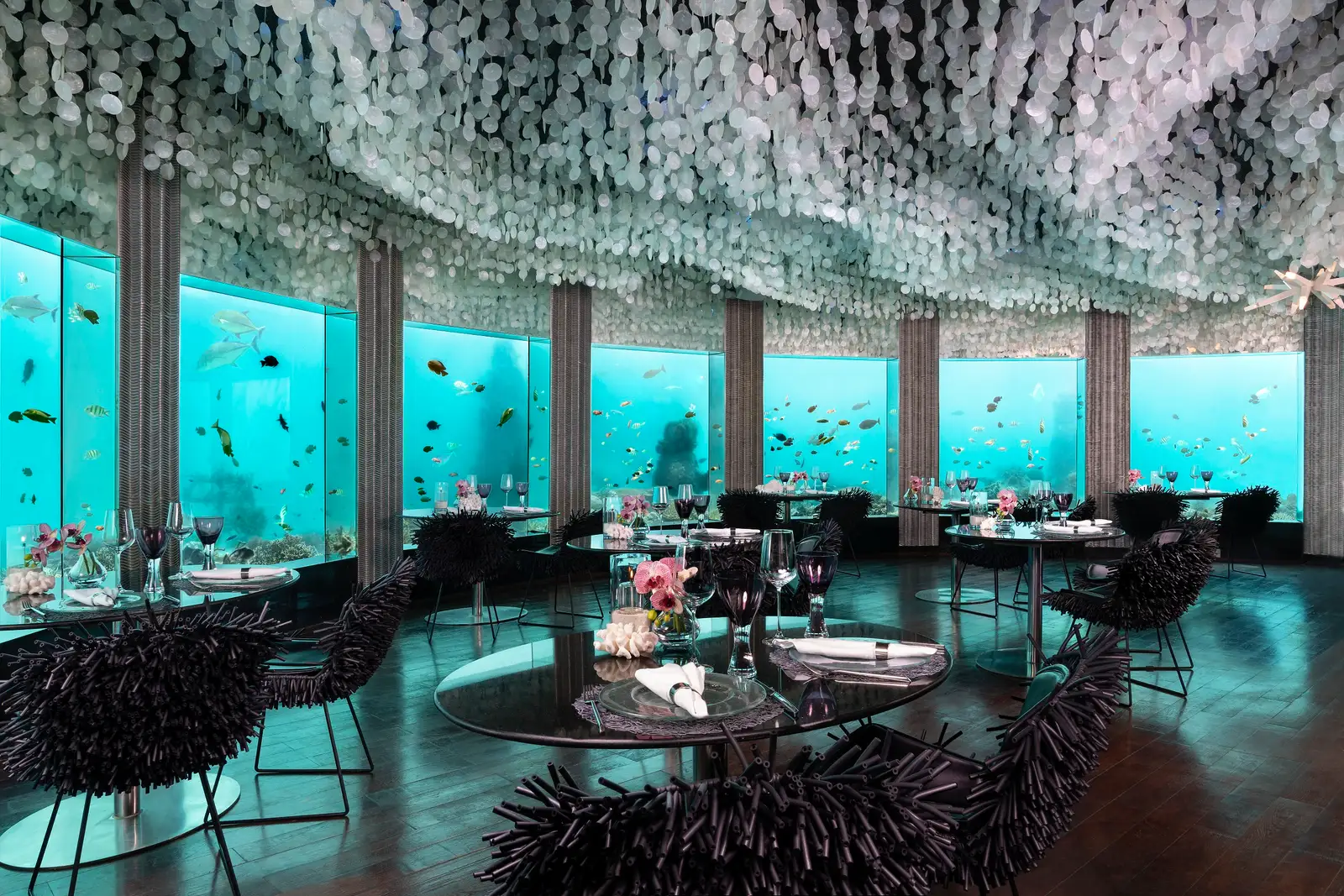 The Subsix dining room under the sea, with windows on the reef and fish around the tables
