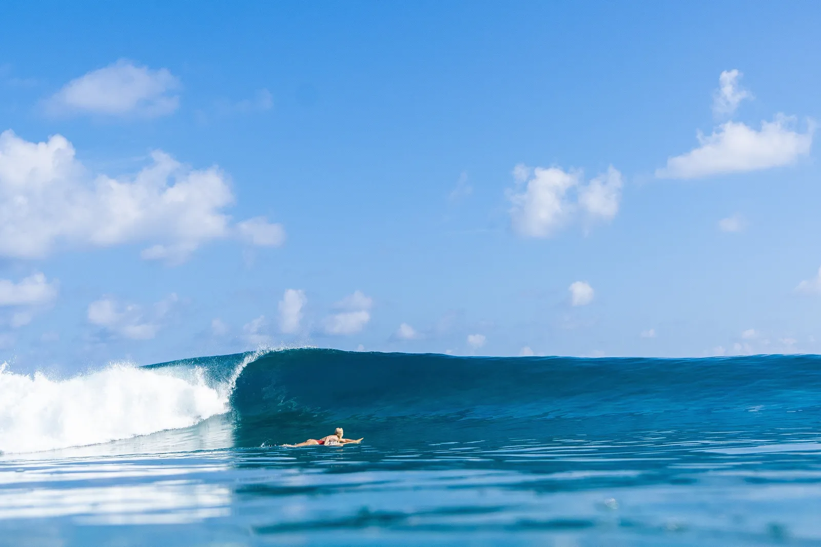 A surfer paddling beside a wave curling in front of the island