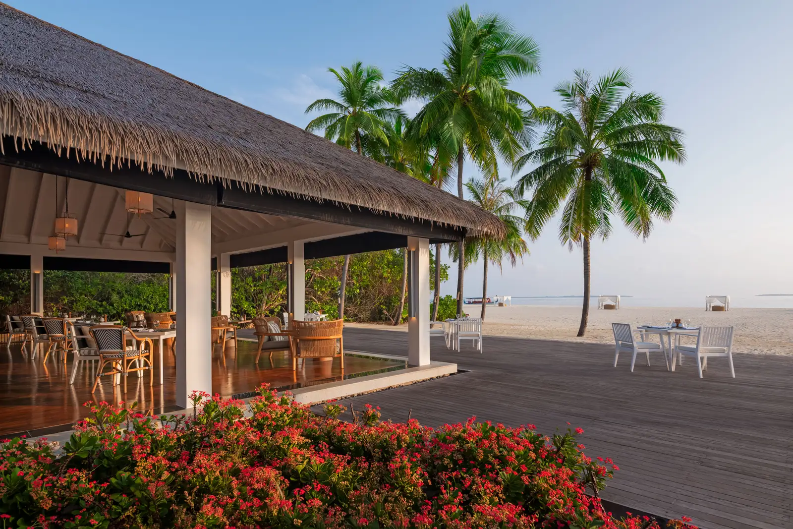 Palms’ terrace on the beach, under the thatched roof, its tables among the palms and the flowering bougainvillea.