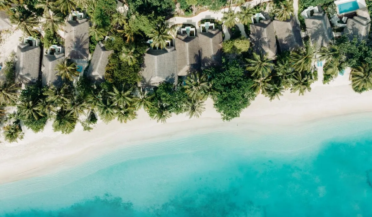 Villa roofs, palms, beach and sea seen from above.