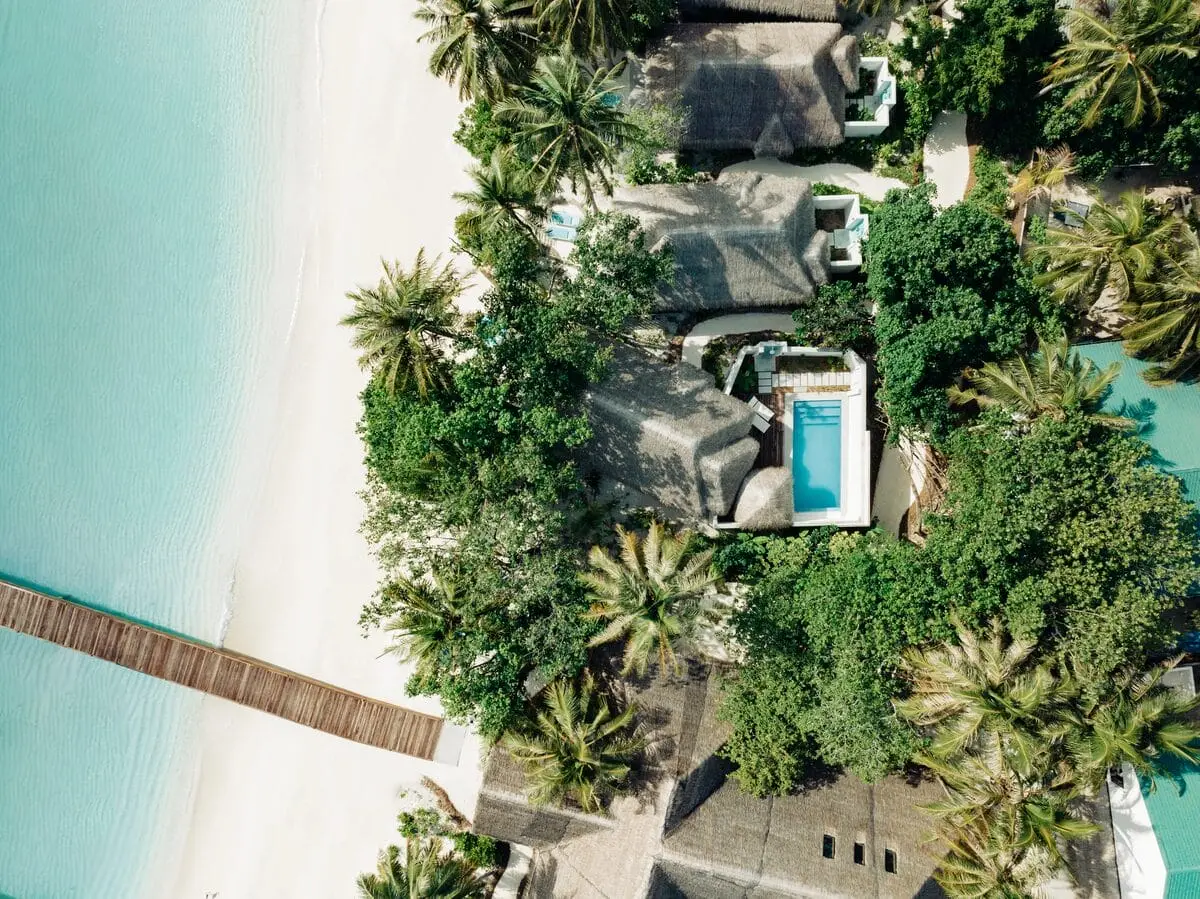 The rectangular pool in an enclosed garden and bathroom-side space.