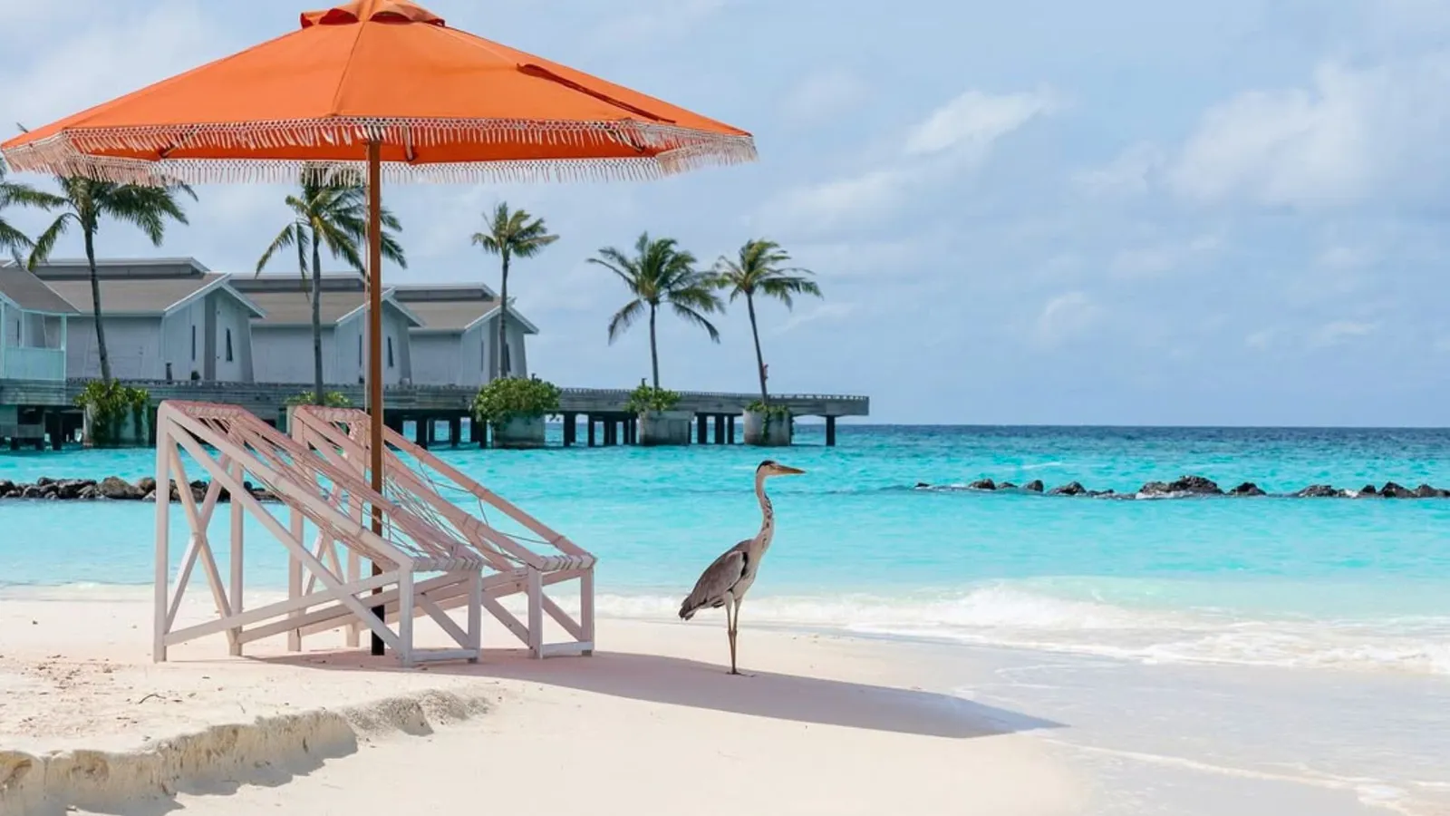 A heron on the beach at Sobi Bar, under an orange parasol, with the water villas behind.