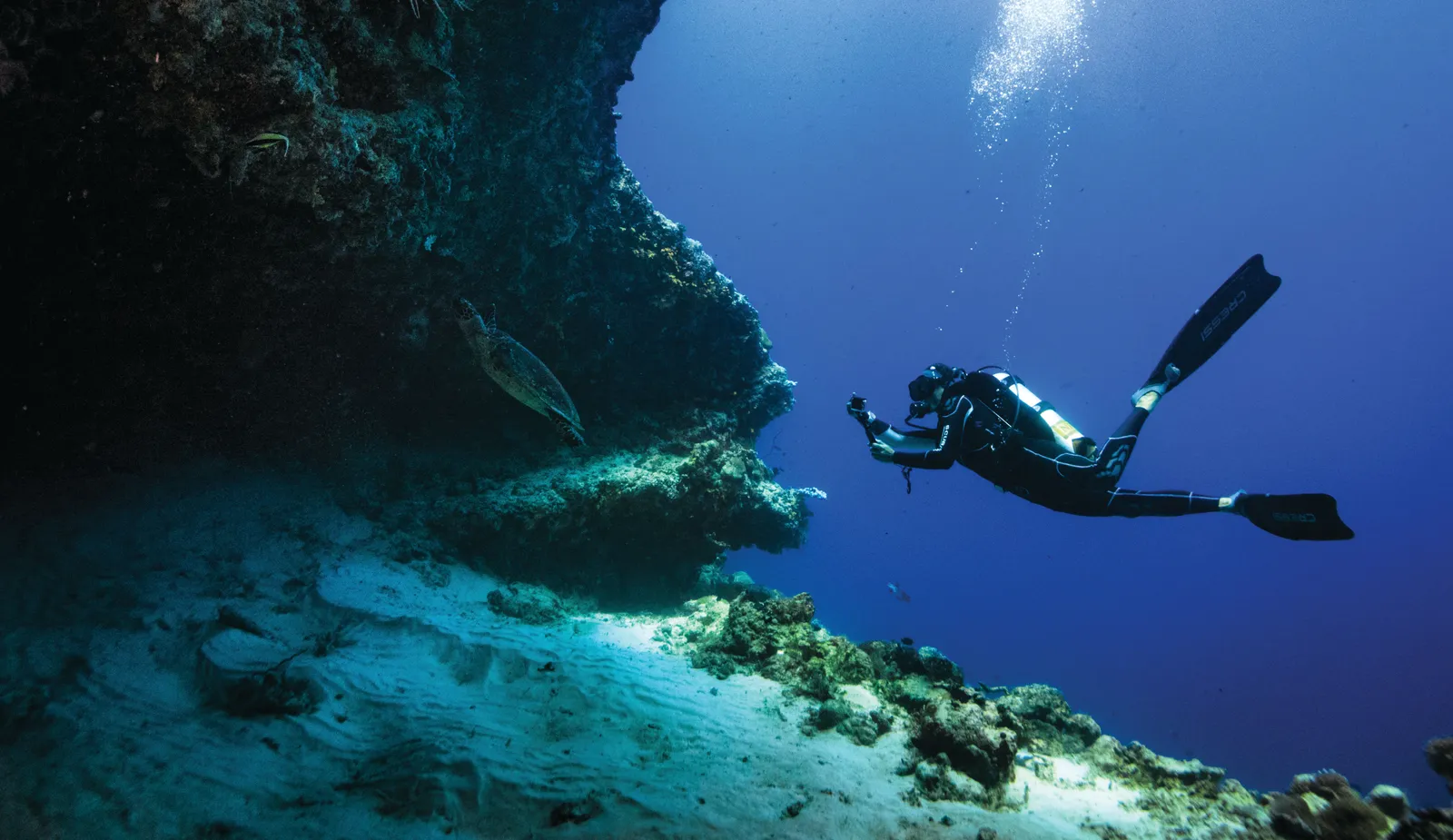 A diver along the reef wall, below the sunlit surface.