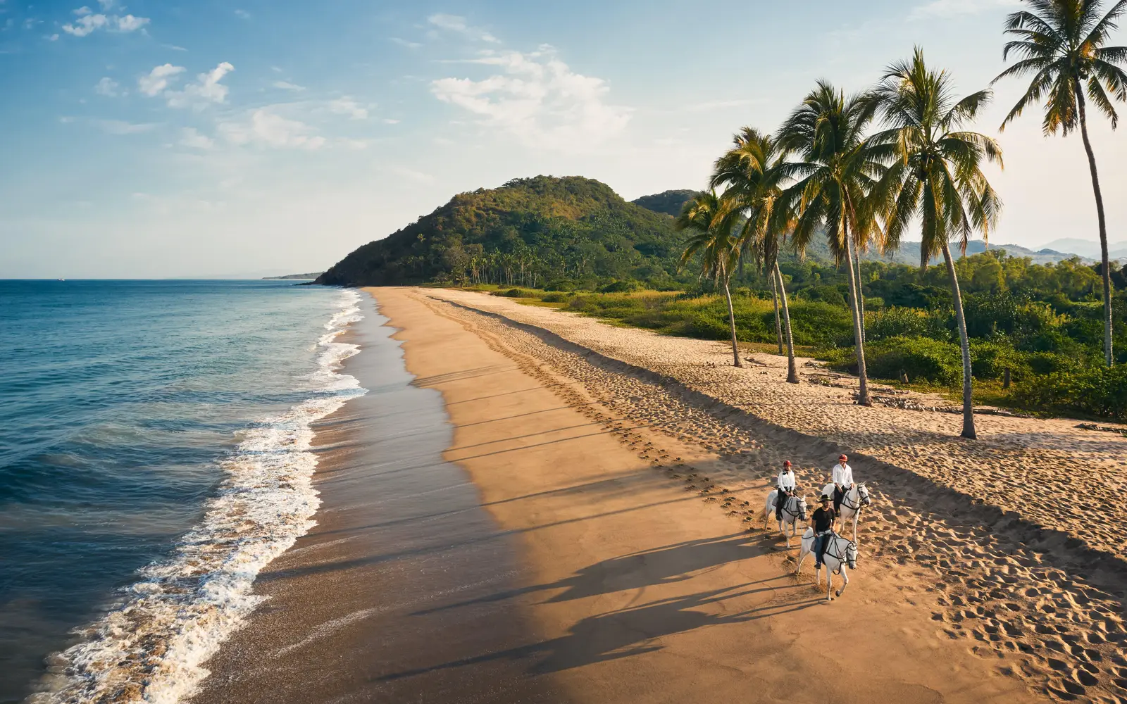 3 riders on white horses along the beach