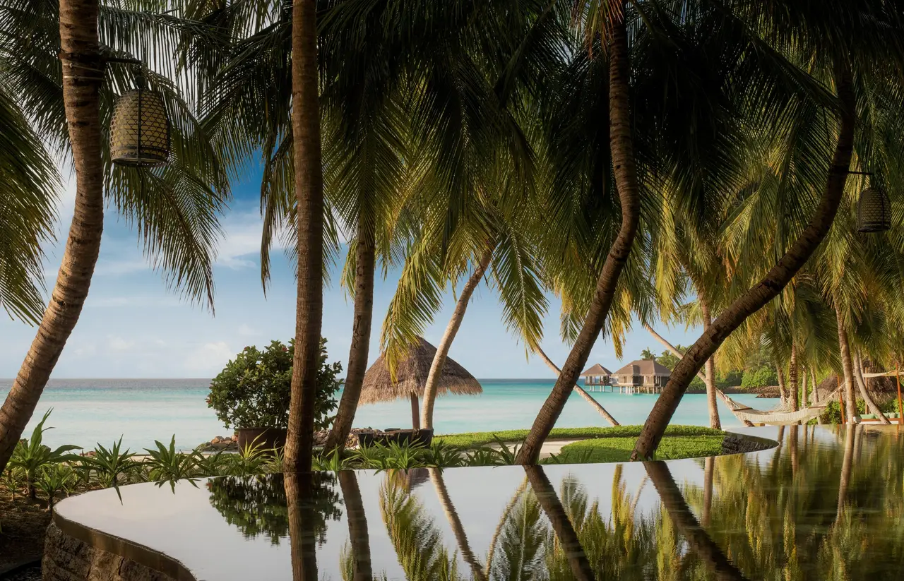 An infinity pool under the palms, the sea beyond its edge