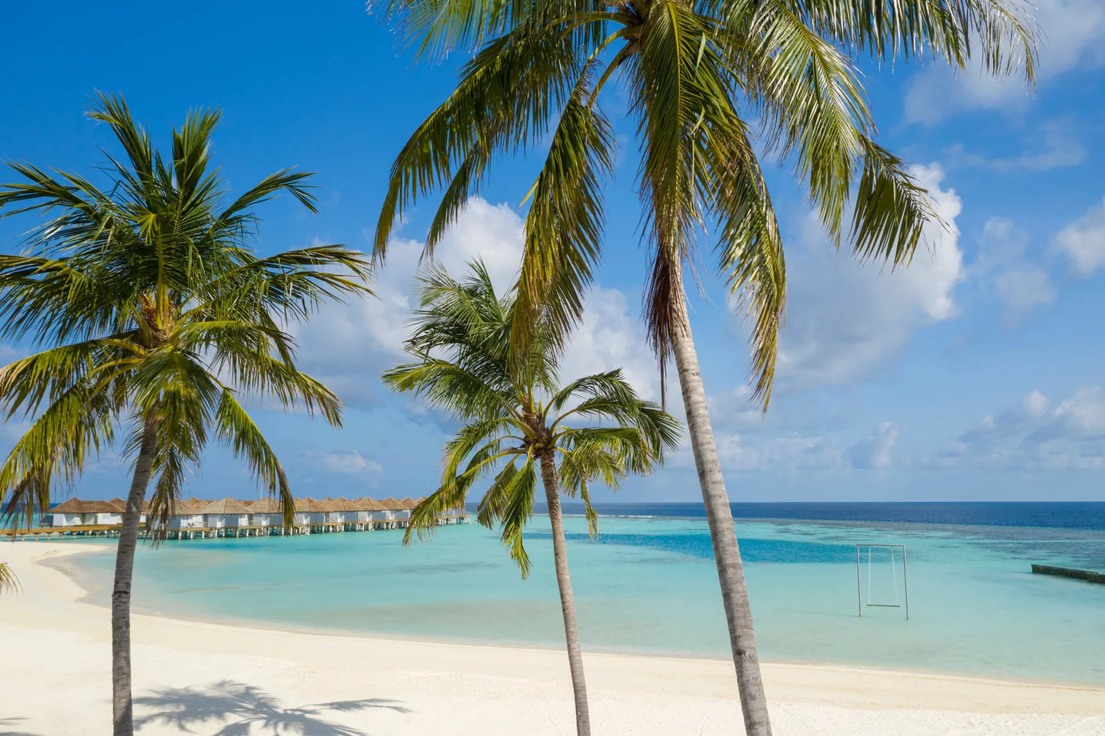 The white beach among the palms, with a swing set in the lagoon and the water villas in the distance.