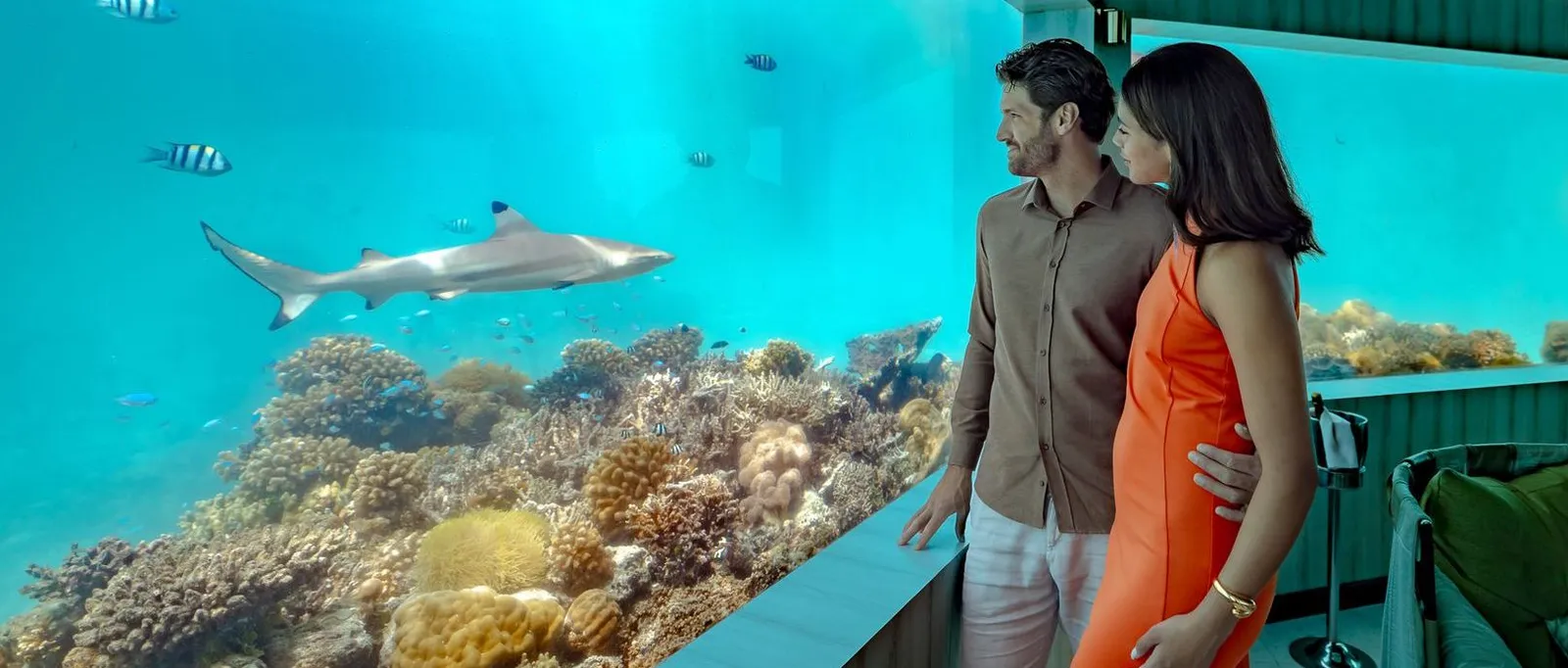 A couple at the glass wall of M6m, the underwater restaurant, as a shark glides over the coral.