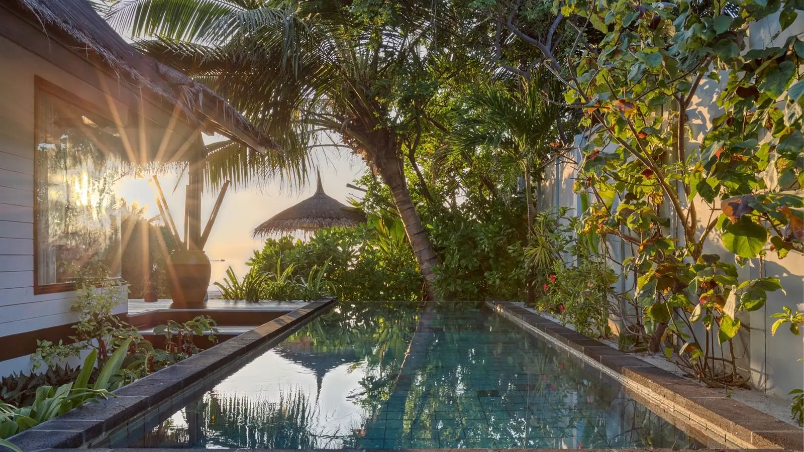 The long, narrow pool of an Earth Villa with Pool among the plants, with the sun low.