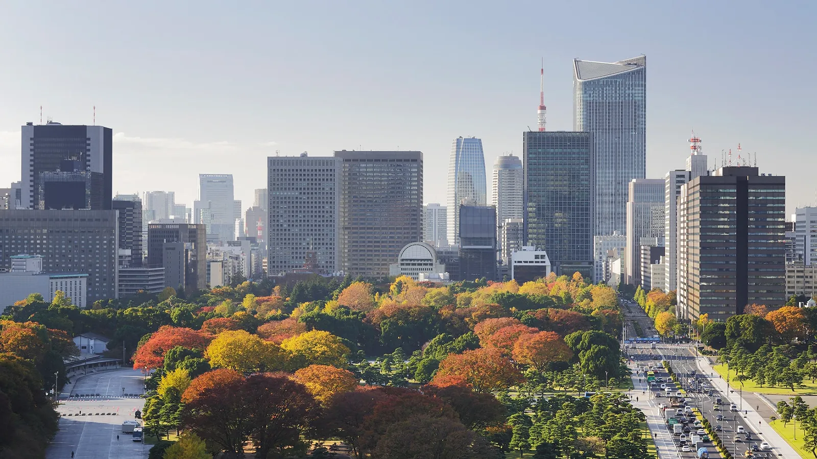 The palace gardens in autumn, red and yellow trees along the moat, the towers behind and Tokyo Tower in the distance.