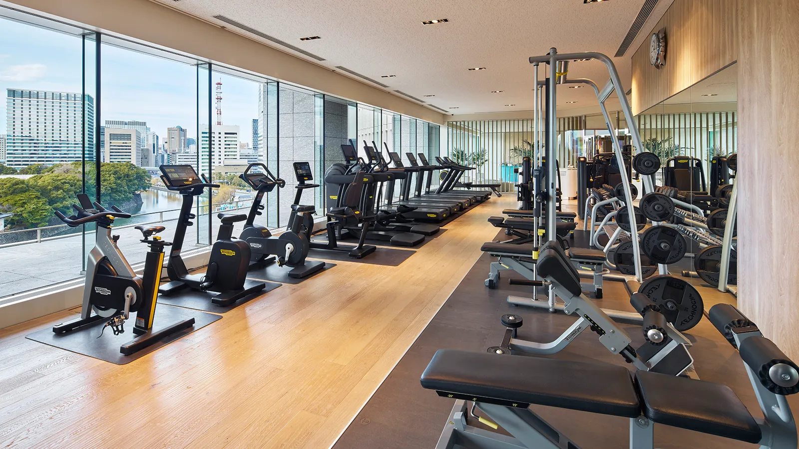 The gym, its machines lined up along the windows over the gardens.