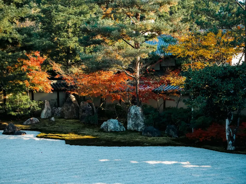 Kodai-ji’s garden in autumn: white gravel, rocks and red maples among the pines.
