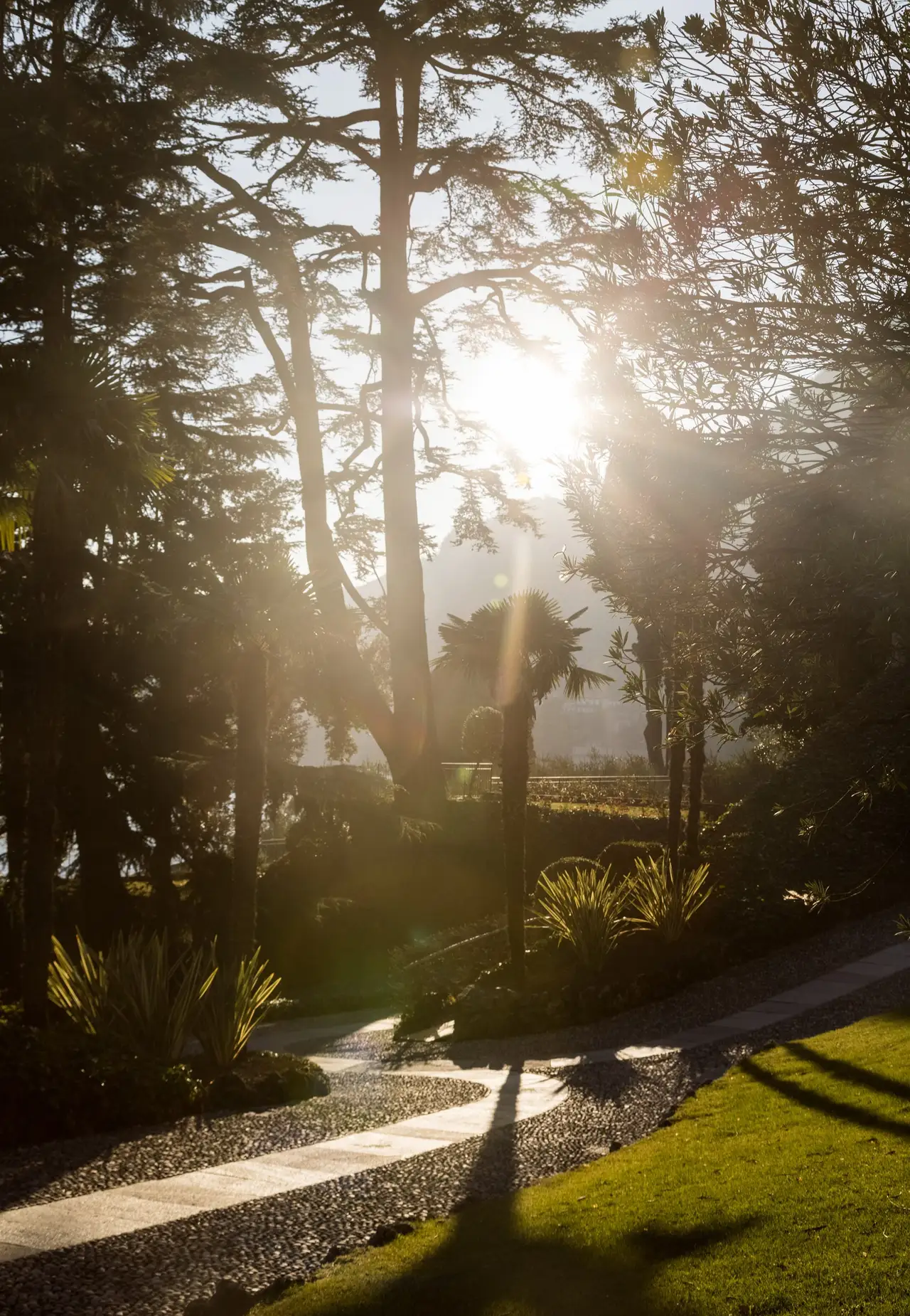 The gardens at sunset, light filtering through the trees