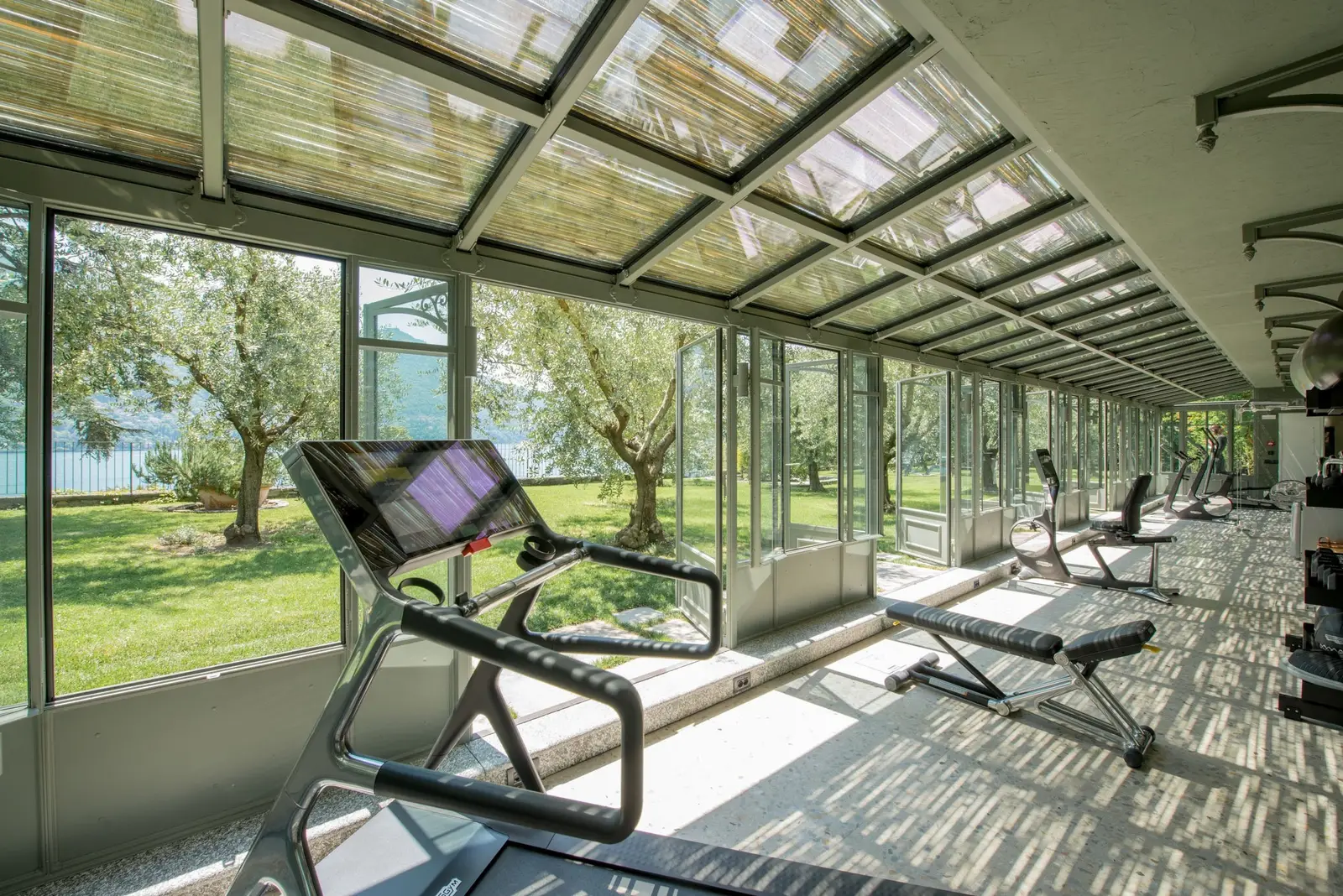The gym in the old greenhouse facing the olive grove