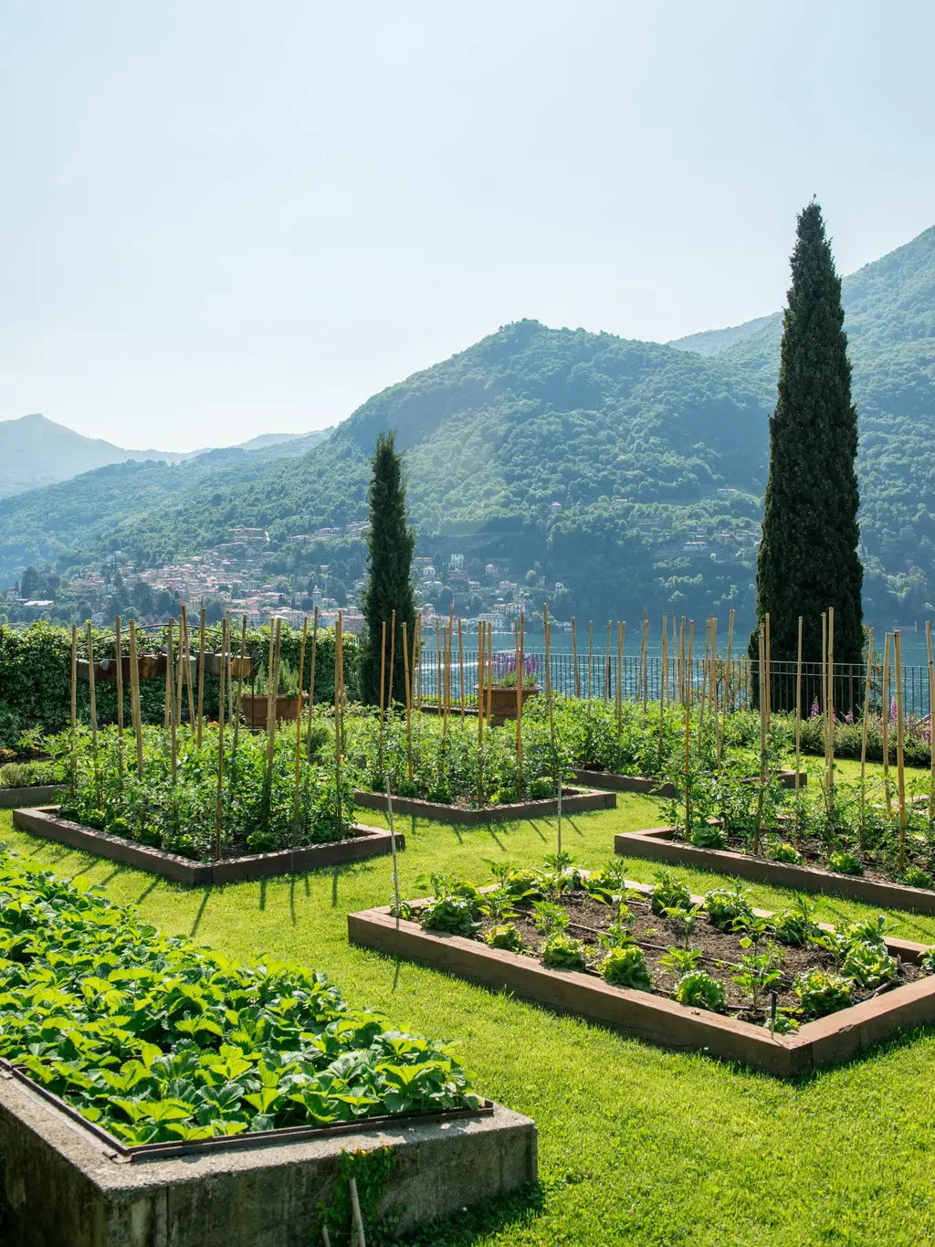 The kitchen garden’s raised beds with cypresses and the lake behind