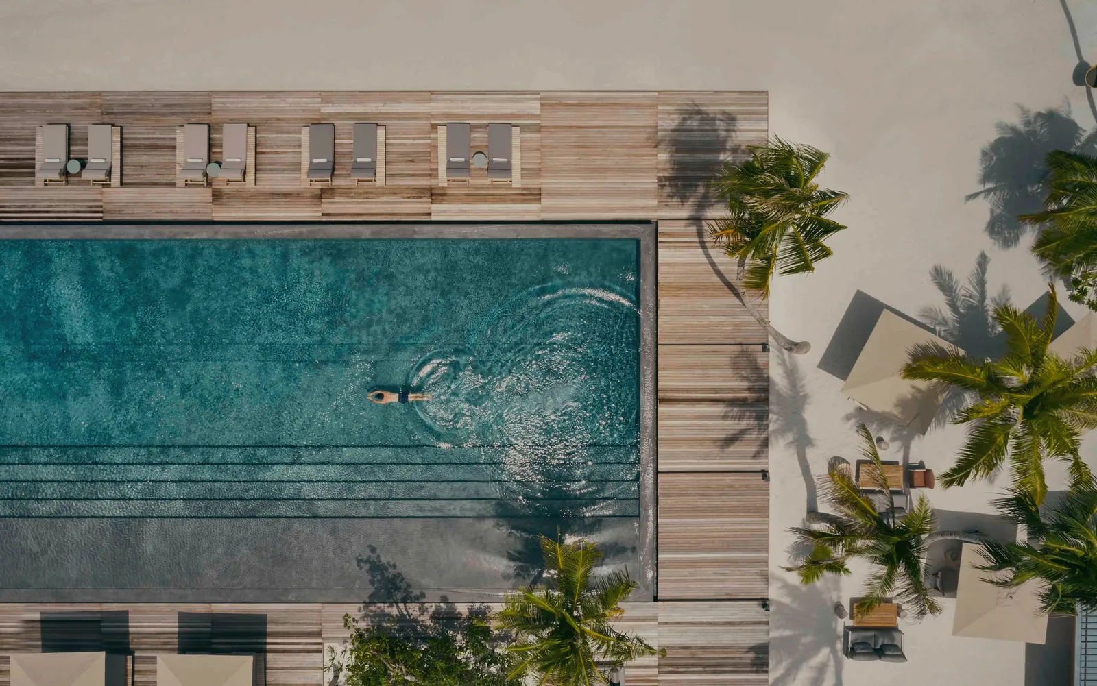 A pool from above, a single swimmer and the loungers along its edge