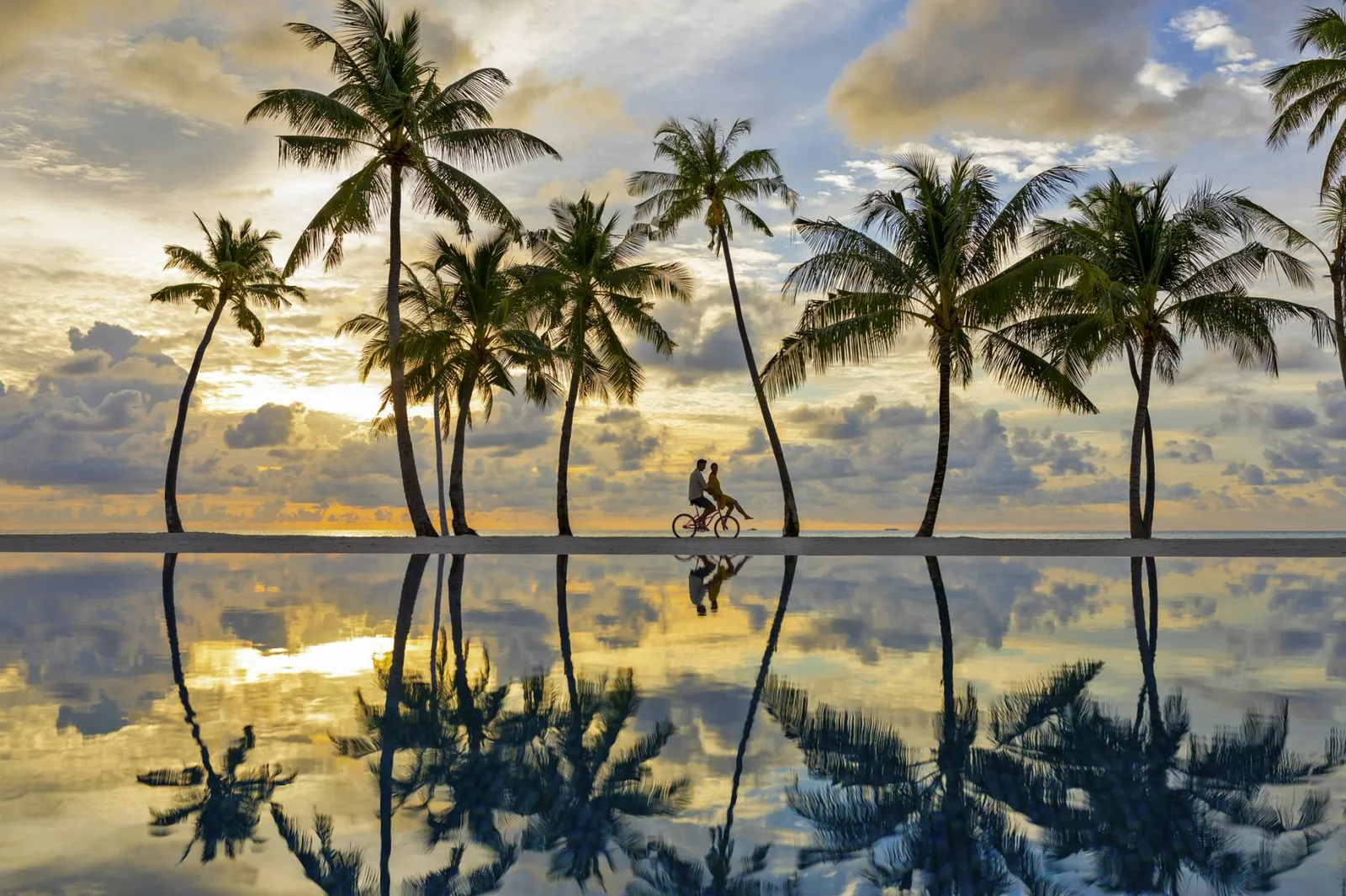Palms and 2 cyclists mirrored in the main pool at dusk.