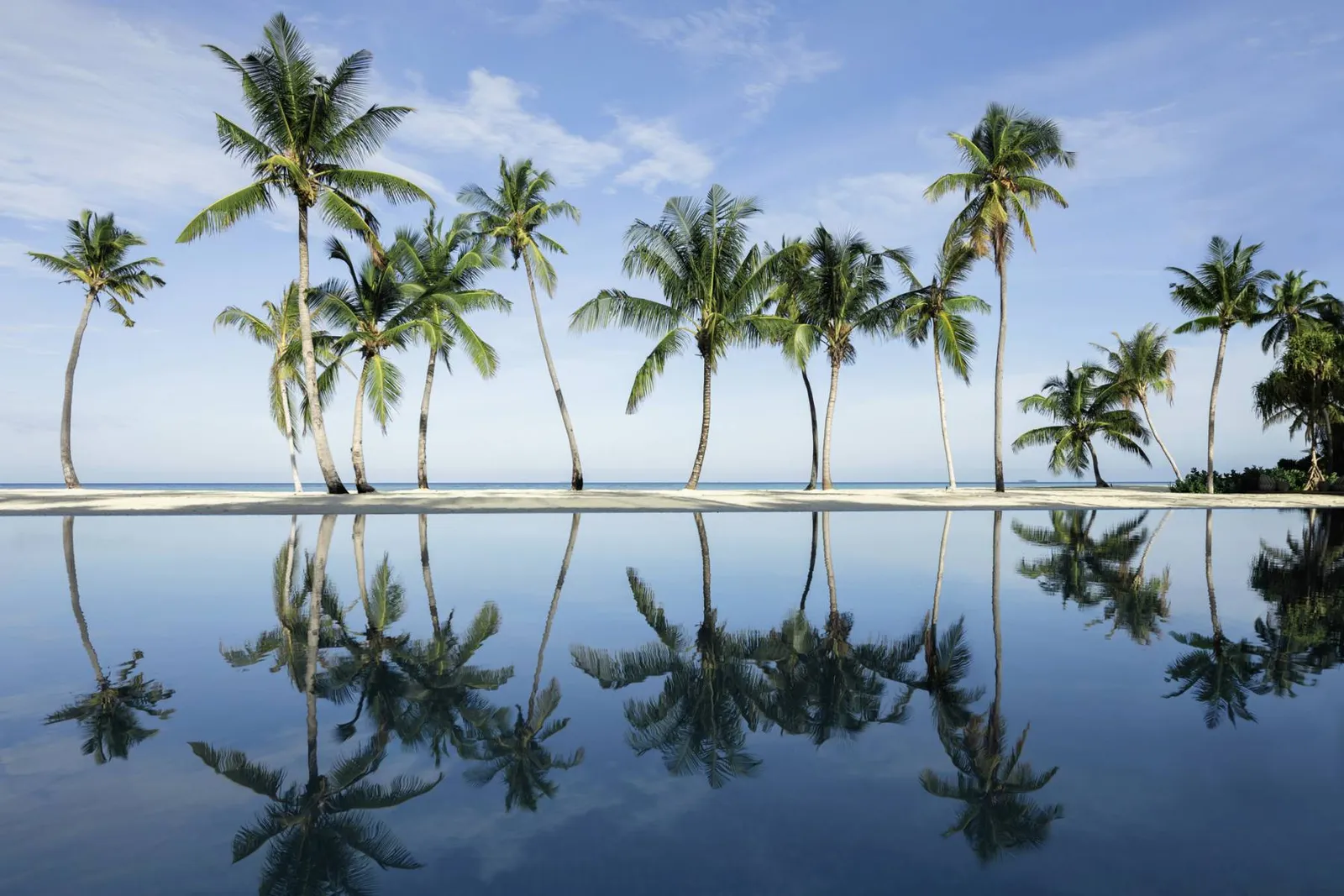 The main pool, with the palms mirrored in still water.