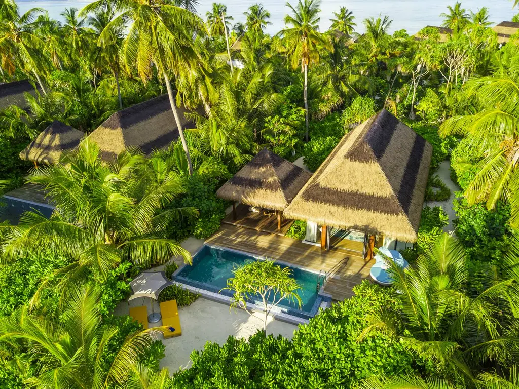 A Beach Pool Villa among the greenery, with its pool and terrace under the thatch.
