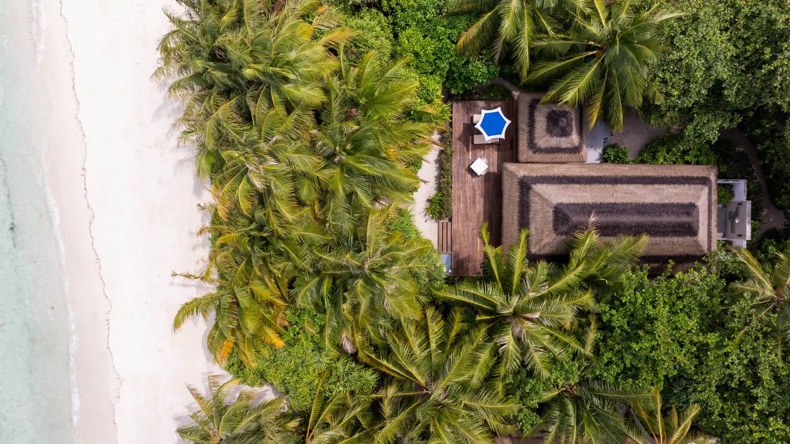 A Beach Villa from above: its thatched roof among the palms, a few steps from the sand.