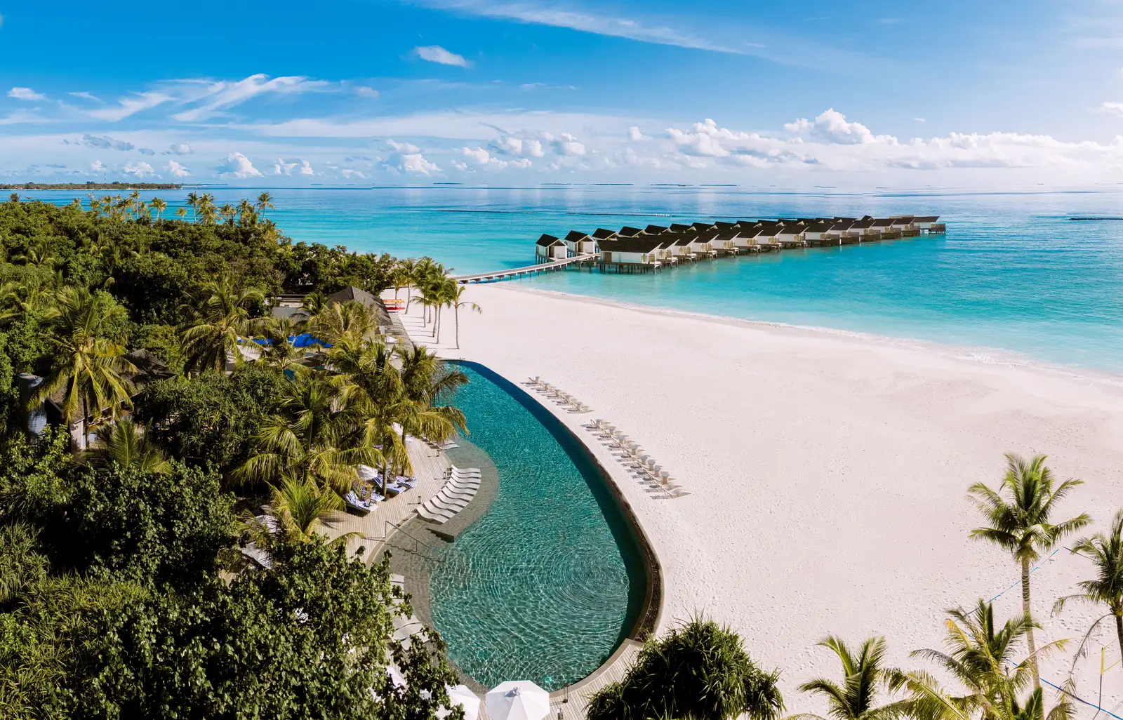 A long curved pool among the palms, the beach and, behind, the line of water villas.