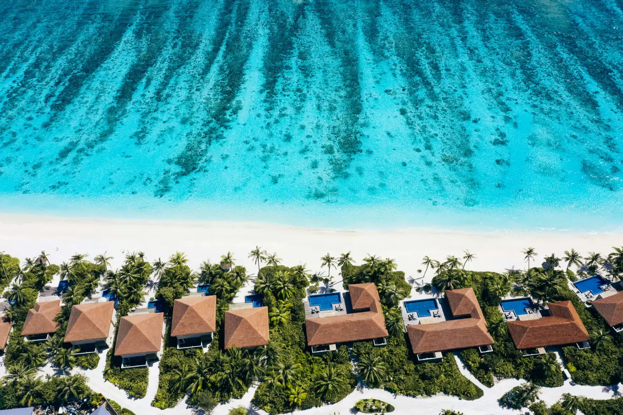 The beach villas from above, each with its pool, between the greenery and the sand, facing the reef.